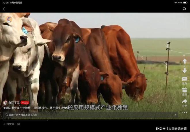 快船猛龙开启交易谈判!35岁莱昂纳德重回多伦多?莺歌或成筹码